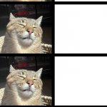 Stepan cat