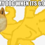 Anger dog | MY DOG WHEN ITS 6:01 | image tagged in punching doge | made w/ Imgflip meme maker