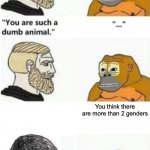 your such a dumb animal | You think there are more than 2 genders | image tagged in your such a dumb animal,gender,2 genders,genders | made w/ Imgflip meme maker