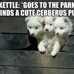 Kettle finds a cute little pet | KETTLE: *GOES TO THE PARK AND FINDS A CUTE CERBERUS PUPPY* | image tagged in cerberus pups | made w/ Imgflip meme maker