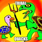 "duckz" | TRIBAL; QUACKS | image tagged in turtle vs duck | made w/ Imgflip meme maker
