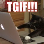 Furiously Typing Cat | TGIF!!! | image tagged in furiously typing cat | made w/ Imgflip meme maker