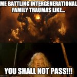 Battling Traumas | ME BATTLING INTERGENERATIONAL FAMILY TRAUMAS LIKE... YOU SHALL NOT PASS!!! | image tagged in you shall not pass | made w/ Imgflip meme maker