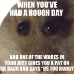 Anyone? | WHEN YOU’VE HAD A ROUGH DAY; AND ONE OF THE VOICES IN YOUR JUST GIVES YOU A PAT ON THE BACK AND SAYS “US TOO BUDDY” | image tagged in hampter | made w/ Imgflip meme maker