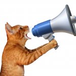 Cat With megaphone template