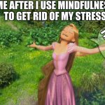 Rapunzel Tangled | ME AFTER I USE MINDFULNESS TO GET RID OF MY STRESS; I’M FREE! | image tagged in rapunzel tangled | made w/ Imgflip meme maker