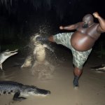 Man kicks alligator