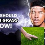 You Should Touch Grass Now meme