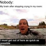 I'm stopping crying in my room after crying about it because it stopped it | Nobody:; My brain after stopping cryng in my room: | image tagged in i must get out of here as quick as possible,memes,funny | made w/ Imgflip meme maker