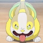 Yamper