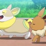 Yamper and eevee