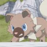 Angry rockruff meme