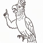 Parrot giving the finger