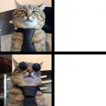 Stepan cat meme
