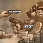 It goes without saying that my cat, Lily, does not like flea treatments. | FLEA MEDICINE; MY CAT | image tagged in mordecai gun,lackadaisy | made w/ Imgflip meme maker