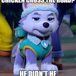 POV: you here a bad joke | HEY WHY DID THE CHICKEN CROSS THE ROAD? HE DIDN'T HE GOT RAN OVER LOL | image tagged in bad day everest paw patrol | made w/ Imgflip meme maker