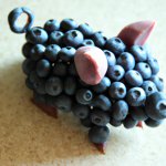 Bluberry Pig