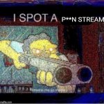 I spot a P**n stream