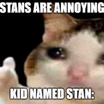 Sad cat thumbs up | "STANS ARE ANNOYING"; KID NAMED STAN: | image tagged in sad cat thumbs up | made w/ Imgflip meme maker