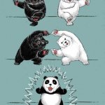 two bear transform panda