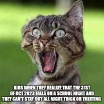 Kids realizing - Halloween 2023 falls on a school night | KIDS WHEN THEY REALIZE THAT THE 31ST OF OCT 2023 FALLS ON A SCHOOL NIGHT AND THEY CAN'T STAY OUT ALL NIGHT TRICK OR TREATING | image tagged in shocked cat | made w/ Imgflip meme maker