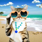 Cat with a sunglass at the beach