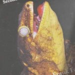 Crisis Gecko