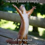 All Hail | The bird feeder is empty! Let me squeak the song of my people! | image tagged in all hail,squirrel | made w/ Imgflip meme maker