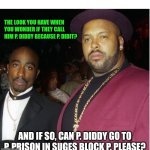 Funny | THE LOOK YOU HAVE WHEN YOU WONDER IF THEY CALL HIM P. DIDDY BECAUSE P. DIDIT? AND IF SO, CAN P. DIDDY GO TO P. PRISON IN SUGES BLOCK P. PLEASE? | image tagged in funny | made w/ Imgflip meme maker