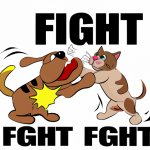 Dog fighting ca