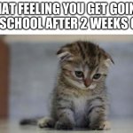 Let me go back | THAT FEELING YOU GET GOING TO SCHOOL AFTER 2 WEEKS OFF | image tagged in sad kitten,school,the truth | made w/ Imgflip meme maker