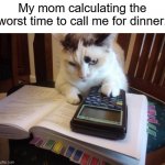 I kinda hate when this happens | My mom calculating the worst time to call me for dinner: | image tagged in math cat,relatable memes | made w/ Imgflip meme maker