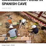 Neanderthal cannibalism