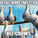 Daily Bad Dad Joke October 9, 2023 | WHAT DO YOU CALL BIRDS THAT STICK TOGETHER? VEL-CROWS. | image tagged in nemo birds | made w/ Imgflip meme maker