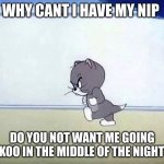 Angry cat tom and jerry | WHY CANT I HAVE MY NIP; DO YOU NOT WANT ME GOING CUCKOO IN THE MIDDLE OF THE NIGHT ??? | image tagged in angry cat tom and jerry | made w/ Imgflip meme maker