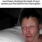 it’s very rude to interrupt me while I’m studying | When your mom’s yelling at you for sleeping instead of studying, but you’d been studying the back of your eyelids just fine before the interruption | image tagged in sleepy guy,funny,meme,let me sleep,rude awakening,studying | made w/ Imgflip meme maker