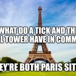 Eiffel Tower and Tick | WHAT DO A TICK AND THE EIFFEL TOWER HAVE IN COMMON? THEY’RE BOTH PARIS SITES. | image tagged in eiffel tower,dad joke,jokes,humor | made w/ Imgflip meme maker