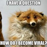 Please give me advice on how to become viral | I HAVE A QUESTION; HOW DO I BECOME VIRAL? | image tagged in i have a question fox | made w/ Imgflip meme maker