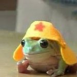 Frog with Hat :D