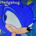 Hedgehog meme