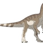 Dilophosaurus (Female)