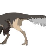 Gallimimus (Male)