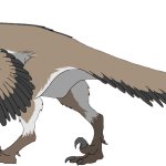 Dromaeosaurus (Male)