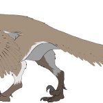 Dromaeosaurus (Female)