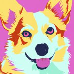cute corgie