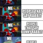 who TF says RABBIT BUNNY?!?! | ME; PEOPLE THAT SAY BUNNY; ME; PEOPLE THAT SAY RABBIT; ME; PEOPLE THAT SAY BUNNY RABBIT; ME; PEOPLE THAT SAY RABBIT BUNNY | image tagged in shocked mr krabs | made w/ Imgflip meme maker