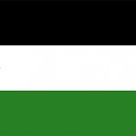 Palestine flag meme