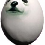 Eggdog is all | image tagged in eggdog | made w/ Imgflip meme maker