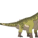 Argentinosaurus (Male)