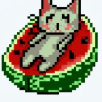 A cat on a watermelon
